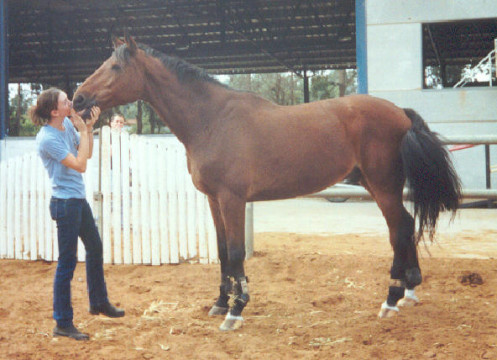 hendric3.jpg